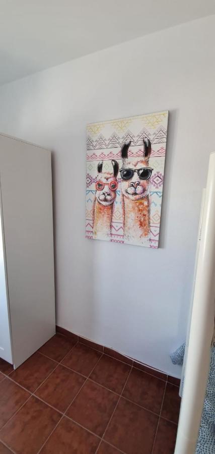 Willa De Pita Y Mar San José Zewnętrze zdjęcie